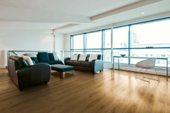 Falquon Blue Line Wood 8mm D2272 CANYON OLD BIRCH фото 2 | FLOORDEALER